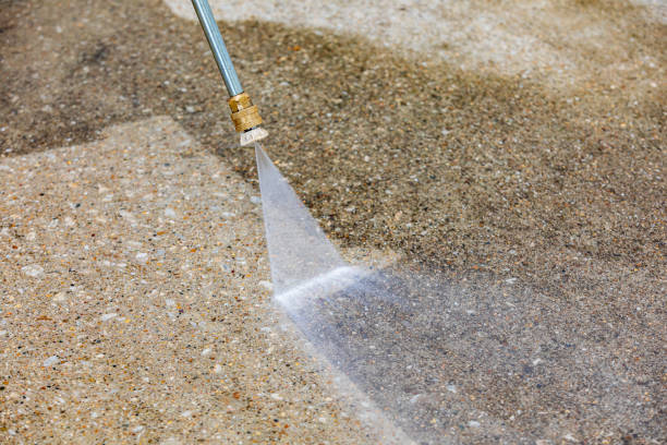 Best Sidewalk and Walkway Cleaning  in Almont, MI
