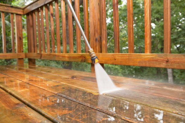 Best Playground Equipment Cleaning  in Almont, MI